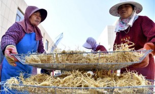 西洋參稱重分選機  西洋參重量分選機 西洋參自動檢重分揀機